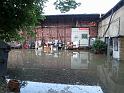 Hochwasser (118)